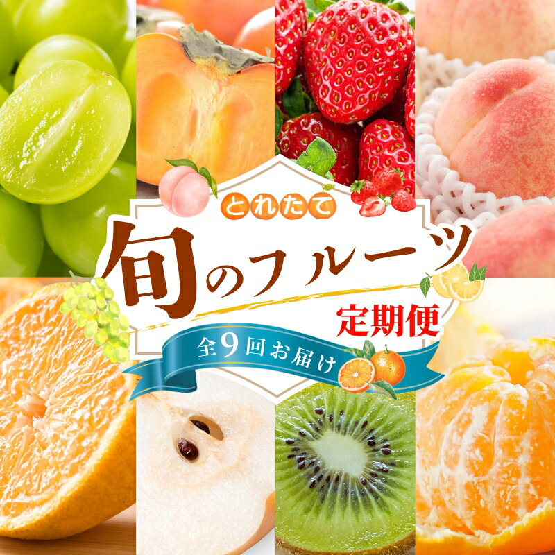 【ふるさと納税】 【フルーツ定期便・全9回】品質に自信あり！くしがきの里から直送　人気の果物を贅沢..
