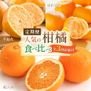 【ふるさと納税】【柑橘堪能定期便】人気の3種を食べ比べ♪(はれひめ・紅はっさく・不知火) / 和歌山県 かつらぎ町 定期便 みかん 柑橘 果物 フルーツ 3回