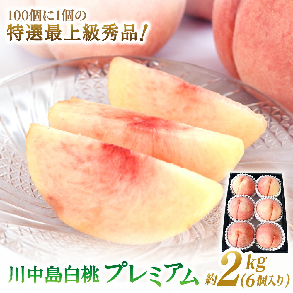 【ふるさと納税】 【2026年発送分先行予約】数量限定！【モモ】川中島白桃 約2kg 6個入 100個に1個の特..