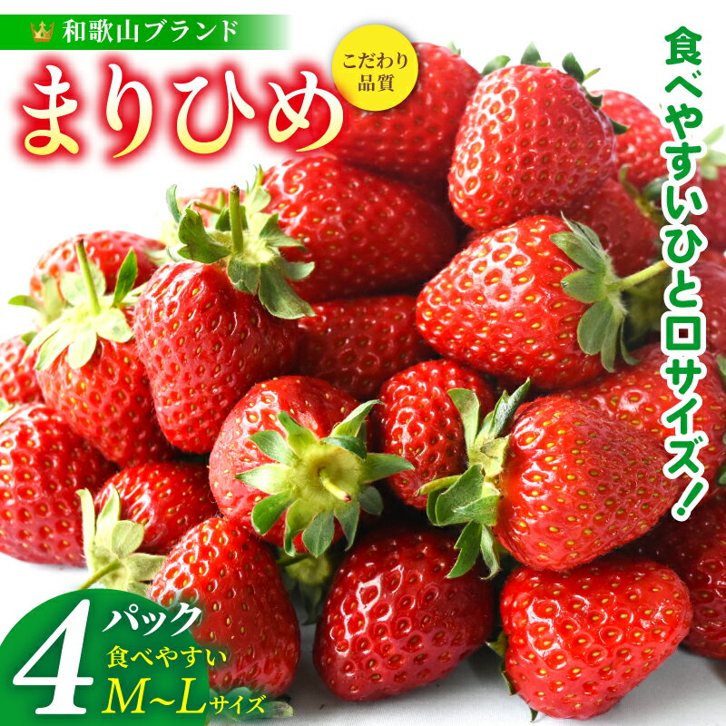 まりひめイチゴ4パック 食べやすいひと口サイズ M〜L(15粒〜20粒入×4パック)[2026年1月初旬〜3月下旬頃に順次発送][先行販売]いちご イチゴ 苺 まりひめ 果物 フルーツ 甘い 人気 おすすめ
