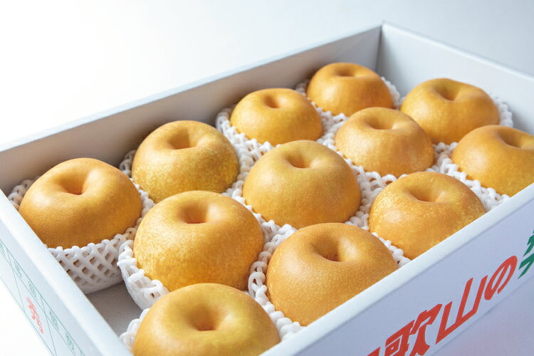 【ふるさと納税】和歌山県産の梨 約4kg（10～13玉入り） 【2026年8月中旬頃から9月中旬順次発送予定】 | 梨 なし フルーツ 果物 くだもの 食品 人気 おすすめ 送料無料