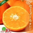 【ふるさと納税】【家庭用】 森本農園の手選別 セミノールオレンジ 約1.5~10kg 和歌山県産 サイズ混合 【北海道・沖縄・離島配送不可】【2026年4月中旬~5月中旬頃に順次発送】【RN26】 | みかん 蜜柑 フルーツ 果物 くだもの 食品 人気 おすすめ 送料無料|詳細画像