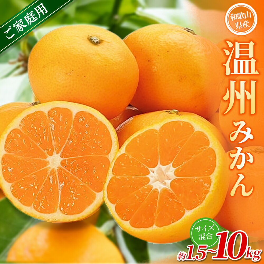 [家庭用] 森本農園の手選別 みかん 約1.5〜10kg 和歌山県産 2S~2Lサイズ混合 [北海道・沖縄・離島配送不可][2025年11月上旬〜2026年2月中旬ごろに順次発送][RN6] | みかん 蜜柑 フルーツ 果物 くだもの 食品 人気 おすすめ 送料無料