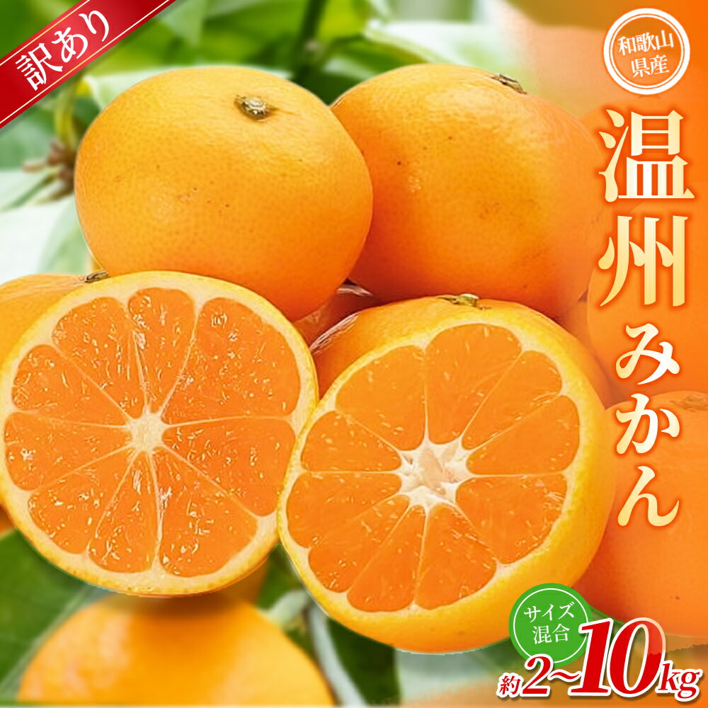 [訳あり] 森本農園の手選別 みかん 約2〜10kg 和歌山県産 2S~2Lサイズ混合 [北海道・沖縄・離島配送不可][2025年11月上旬〜2026年2月中旬ごろに順次発送][RN8] | みかん 蜜柑 フルーツ 果物 くだもの 食品 人気 おすすめ 送料無料