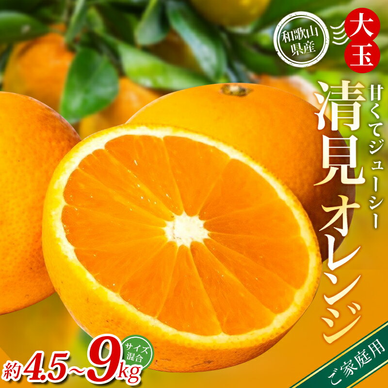 [家庭用] 森本農園の手選別 大玉清見オレンジ 約4.5kg 7kg 9kg 和歌山県産 サイズ混合 [北海道・沖縄・離島配送不可][2026年2月上旬〜5月中旬頃に順次発送][BV-mrmt074-075-076]