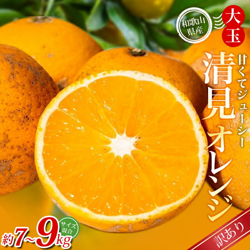 [訳あり] 森本農園の手選別 大玉清見オレンジ 約7kg 9kg 和歌山県産 サイズ混合 [北海道・沖縄・離島配送不可][2026年2月上旬〜5月中旬頃に順次発送][BV-mrmt077-078]