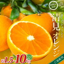 【ふるさと納税】 【ご家庭用】森本農園の手選別 清見オレンジ 約 1.5kg 4.5kg 6kg 8kg 10kg サイズ混合【2026年2月上旬~5月中旬頃に順次発送】 オレンジ 柑橘 フルーツ 果物 くだもの 旬 産地直送 6000円 10000円 12000円 15000円 17000円 送料無料 和歌山県