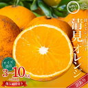 【ふるさと納税】 訳あり 森本農園の手選別 清見オレンジ 約 3kg 7kg 10kg +200g傷み補償 サイズ混合 【2025年2月上旬〜5月中旬頃順次発送...