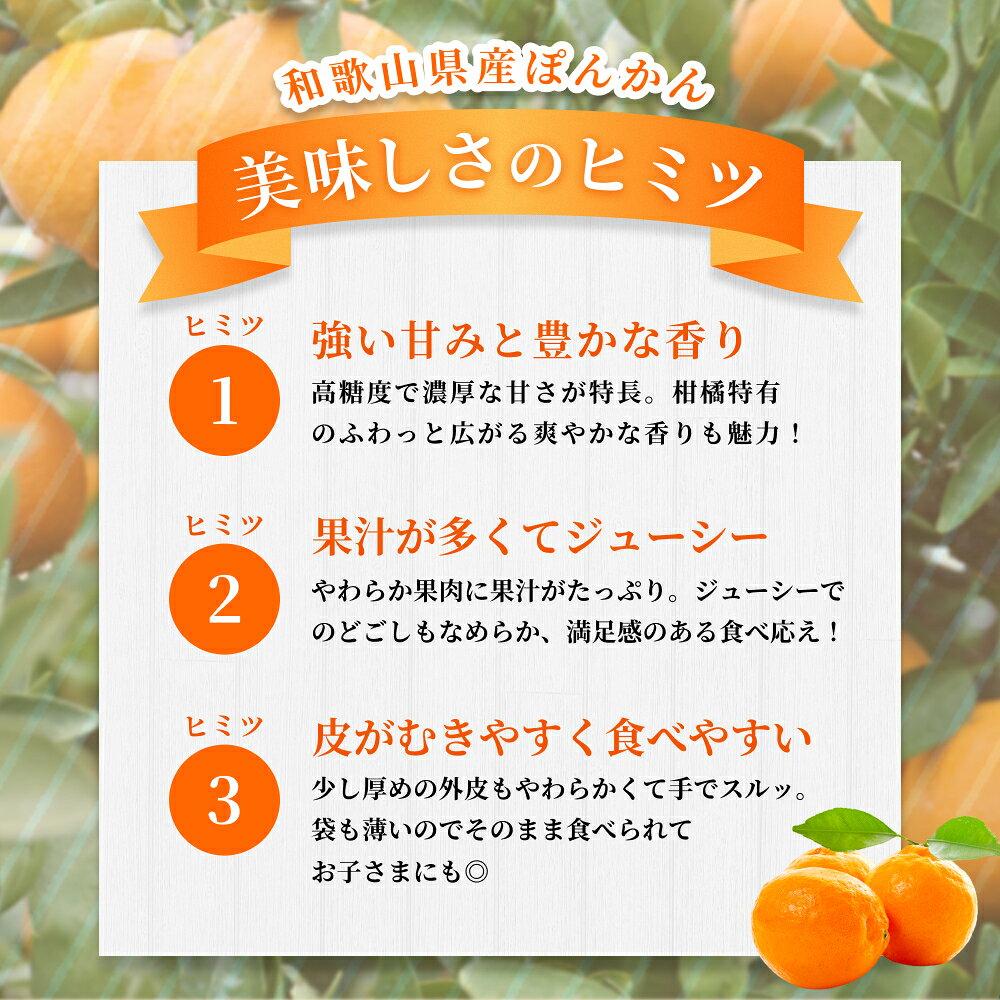 【ふるさと納税】【訳あり】 森本農園の手選別 ポンカン約2～10kg 和歌山県産 サイズ混合 【北海道・沖縄・離島配送不可】【2027年1月上旬～2月上旬頃に順次発送】【RN13】 | みかん 蜜柑 フルーツ 果物 くだもの 食品 人気 おすすめ 送料無料 f303411-katsuragi-10001680 和歌山県かつらぎ町 サンプル画像3