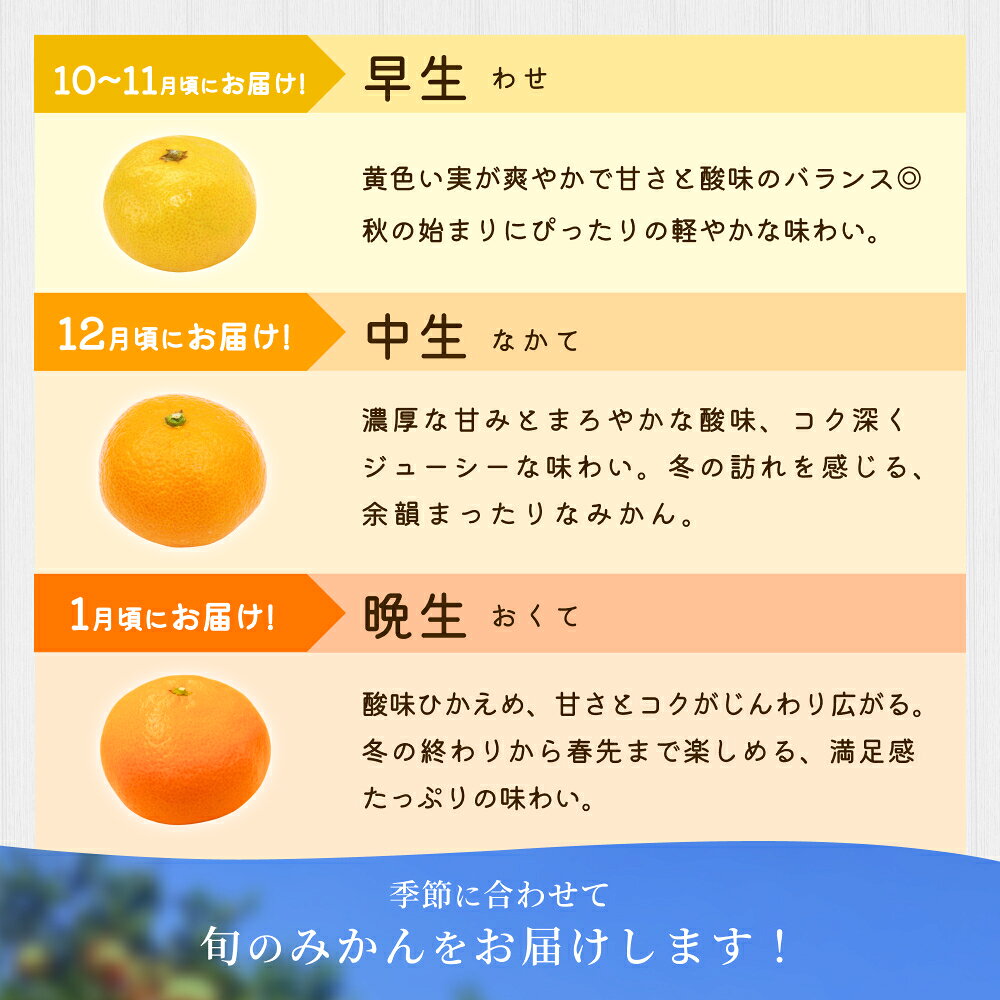 【ふるさと納税】【家庭用】 森本農園の手選別 みかん 約1.5～10kg 和歌山県産 2S~2Lサイズ混合 【北海道・沖縄・離島配送不可】【2026年10月中旬～2027年2月中旬ごろに順次発送】 みかん 蜜柑 フルーツ 果物 くだもの 食品 人気 おすすめ 送料無料 f303411-katsuragi-10001678 和歌山県かつらぎ町 サンプル画像3