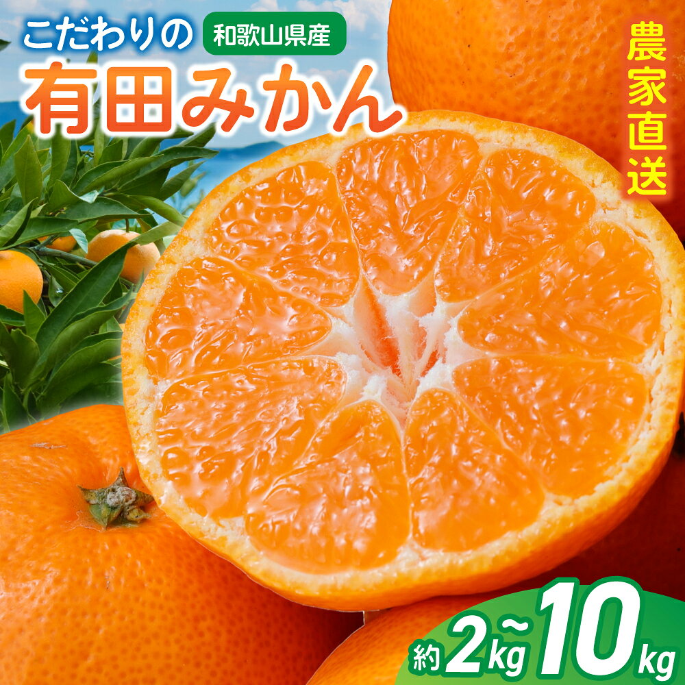 【ふるさと納税】 【ご家庭用】農家直送 こだわりの完熟有田みかん【選べる容量】 約2kg / 約4kg / 約...