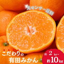 【ふるさと納税】 【ご家庭用】農家直送 こだわりの完熟有田みかん【選べる容量】 約2kg / 約4kg / 約5kg / 約6kg / 約8kg / 約10kg 【11月・12月発送から選択可能】みかん ミカン 有田みかん 温州みかん 柑橘 有田 和歌山 産地直送