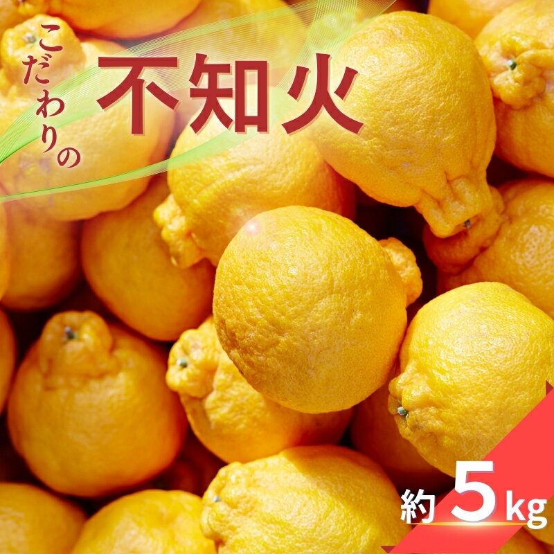 こだわりの 不知火 約5kg 有機質肥料100% 農家直送 光センサー選別 [2026年2月中旬より順次発送予定(お届け日指定不可)] 不知火 みかん ミカン 柑橘 フルーツ 果物 くだもの 人気 旬 産地直送
