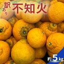 【ふるさと納税】 【訳あり】不知火 約5kg 【2026年2月中旬~4月中旬ごろ順次発送予定(お届け日指定不可)】 不知火 みかん ミカン 柑橘 フルーツ 果物 くだもの 人気 旬 産地直送