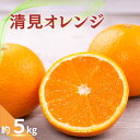【ふるさと納税】 【ご家庭用】清見オレンジ 約5kg 【2026年3月上旬~下旬ごろ順次発送予定(お届け日指定不可)】清見オレンジ オレンジ みかん ミカン 柑橘 フルーツ 果物 くだもの 人気 旬 産地直送