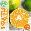 【ふるさと納税】 【訳あり】こだわりの極早生みかん【選べる容量】 約5kg / 約7.5kg / 約10kg 【2025年10月上旬から順次発送】