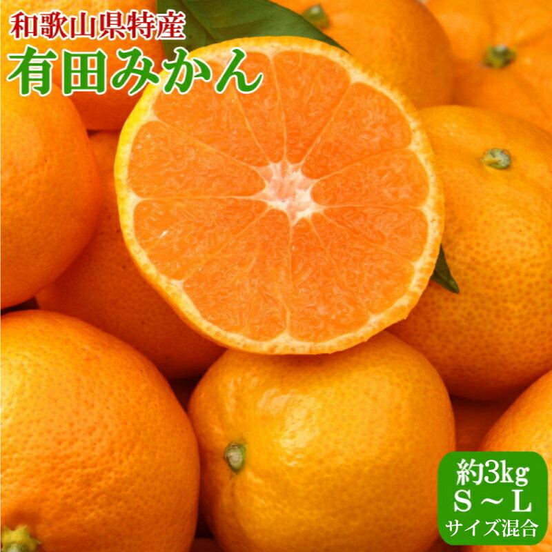 【ふるさと納税】[秀品]和歌山有田みかん約3kg（S～Lサイズ混合）★2025年11月中旬～2026年1月下旬頃発送予定【TM96】