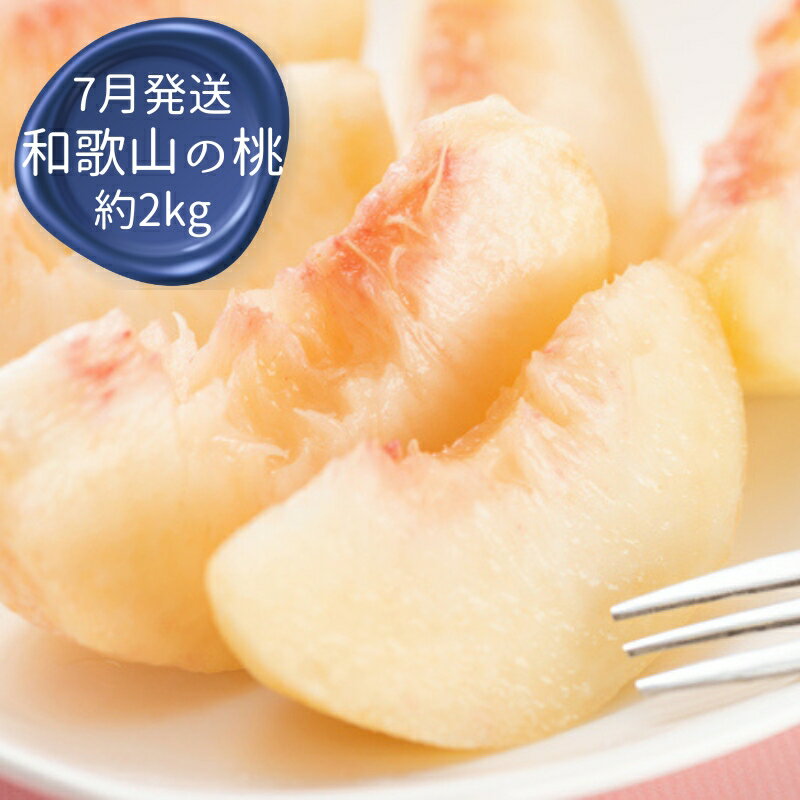 【ふるさと納税】 定期便全3回 【7月・8月・9月発送】 和歌山のフルーツをお届け（桃・たねなしピオーネ・シャインマスカット）【TM180】 | フルーツ 果物 くだもの 食品 人気 おすすめ 送料無料 定期便 産地直送