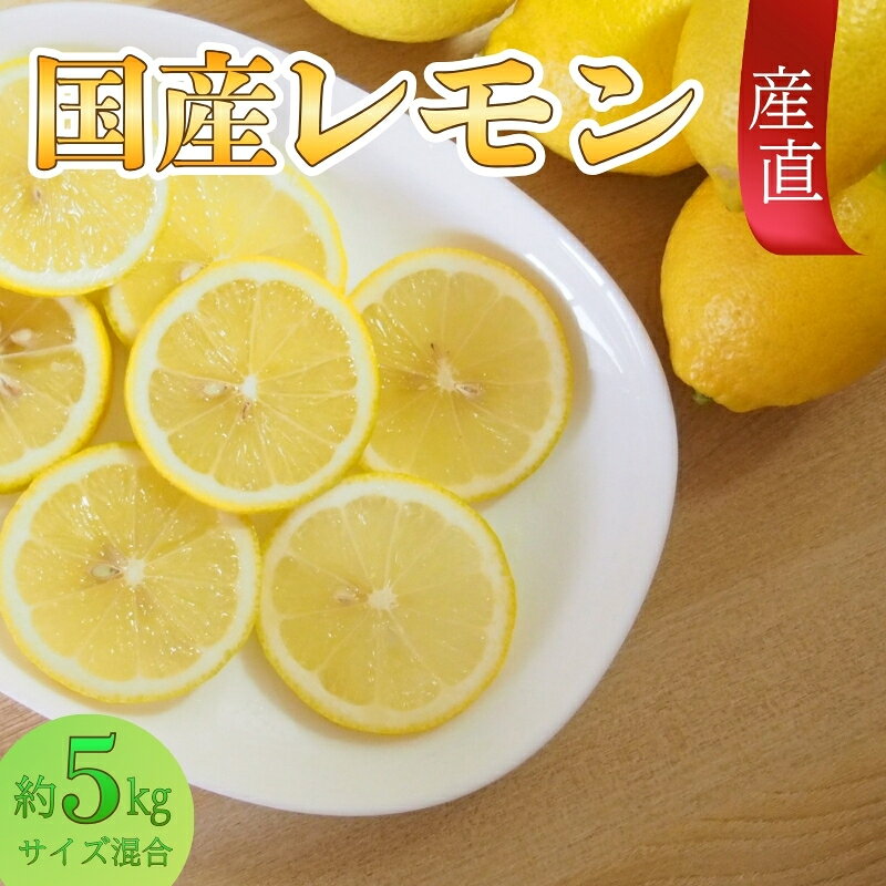 【産直】和歌山産レモン約5kg（サイズ混合）【2026年3月下旬〜2026年5月上旬頃順次発送】【TM129】