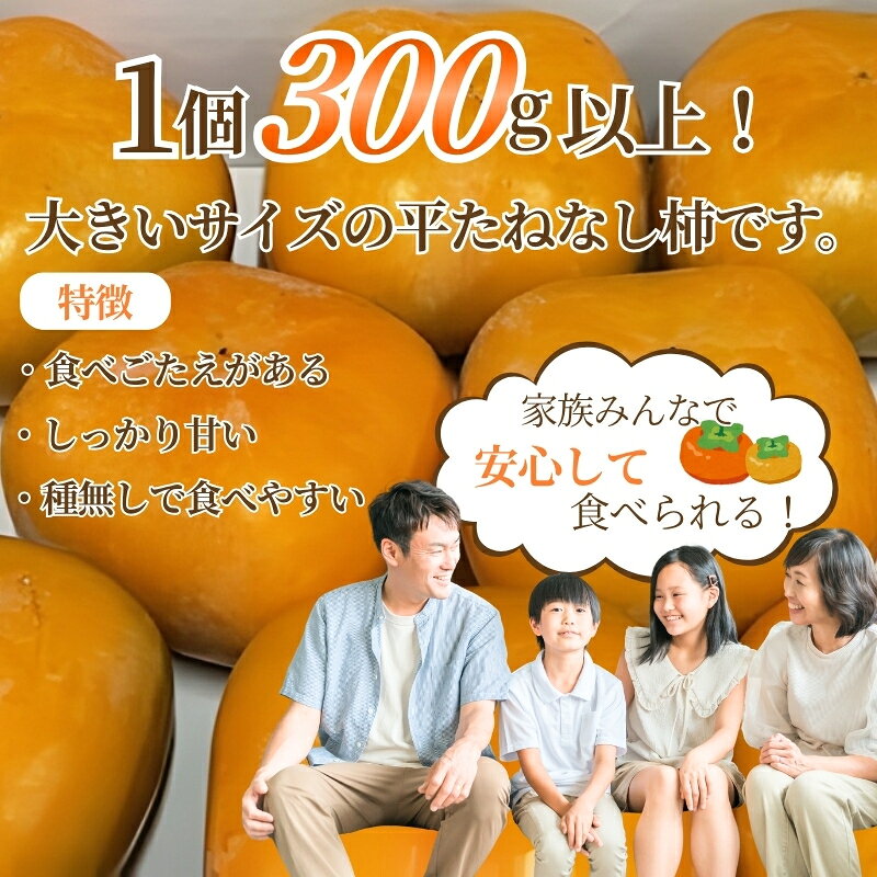 【ふるさと納税】 大玉サイズ 平たねなし柿【クイーンパーシモン】約4kg （10玉〜12玉おまかせ）【2026年10月中旬から2026年11月上旬頃発送】【TM86】