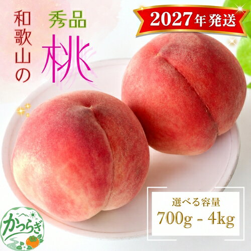 【農園直送】朝採れ和歌山の桃 秀品 約700g／1.5kg／2kg／4kg 【2027年6月下旬～2027年8月上旬頃に順次発送予定】 | もも 桃 モモ 桃 甘い ジューシー ふるさと納税 和歌山 先行予約 果物 品種 送料無料 産地直送 絶品 濃厚 特産品 名産品