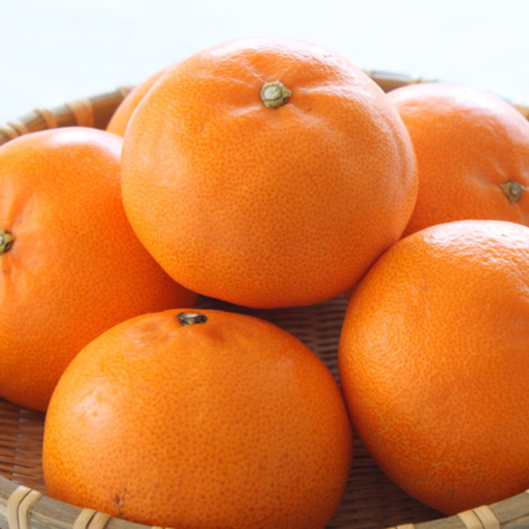 【ふるさと納税】 一度は食べていただきたい【有田産のせとか】約4〜5kg（サイズおまかせ）【2027年2月中旬～2027年3月上旬頃より順次発送】【TM138】