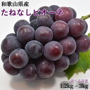 【ふるさと納税】 【新鮮・産直】和歌山かつらぎ町産たねなしピオーネ約1.2kg/約2kg/約3kg 【2026年8月中旬~2026年9月中旬頃に順次発送予定】 | フルーツ 果物 くだもの 食品 人気 おすすめ 送料無料