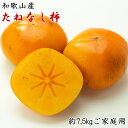 【ふるさと納税】 【訳あり・ご家庭用】【秋の味覚】和歌山産たねなし柿 約7.5kg【2025年9月中旬〜11月上旬頃順次発送予定】【TM11】
