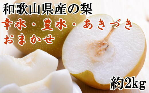 【ふるさと納税】和歌山県産の梨約2kg(品種おまかせ)★2025年8月下旬～10月中旬順次発送【TM181】 | 梨 おまかせ フルーツ 返礼品 和歌山 ふるさと納税