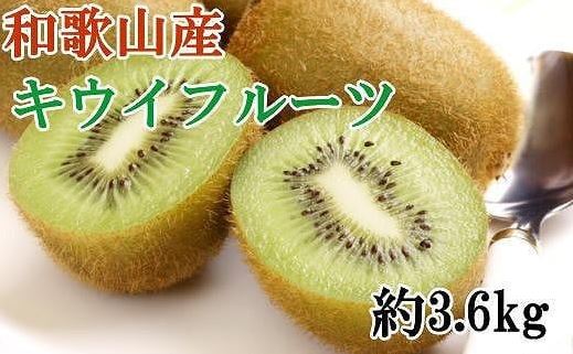 【ふるさと納税】和歌山かつらぎ町産キウイフルーツ約3.6kg（玉数おまかせ）秀品★2026年1月中旬～2026年3月上旬頃順次発送