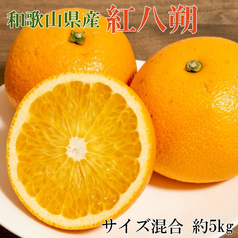 【ふるさと納税】 【希少品】和歌山県産紅八朔約5kg(サイズ混合)【2026年1月下旬〜2026年2月中旬頃順..