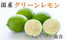 【ふるさと納税】 【産直】和歌山産グリーンレモン約3kg(サイズ混合)【2025年10月下旬から11月中旬ごろ順次発送】【TM7】 | フルーツ 果物 くだもの 食品 人気 おすすめ 送料無料