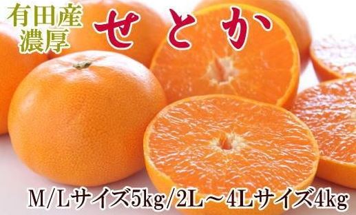 一度は食べていただきたい[有田産のせとか]約4〜5kg(サイズおまかせ)[2026年2月中旬〜2026年3月上旬頃より順次発送][TM138]