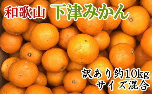 【ふるさと納税】【訳あり】和歌山下津みかん約10kgご家庭用向け(サイズ混合) ★2025年11月中旬から2026年1月下旬頃順次発送［TM78］