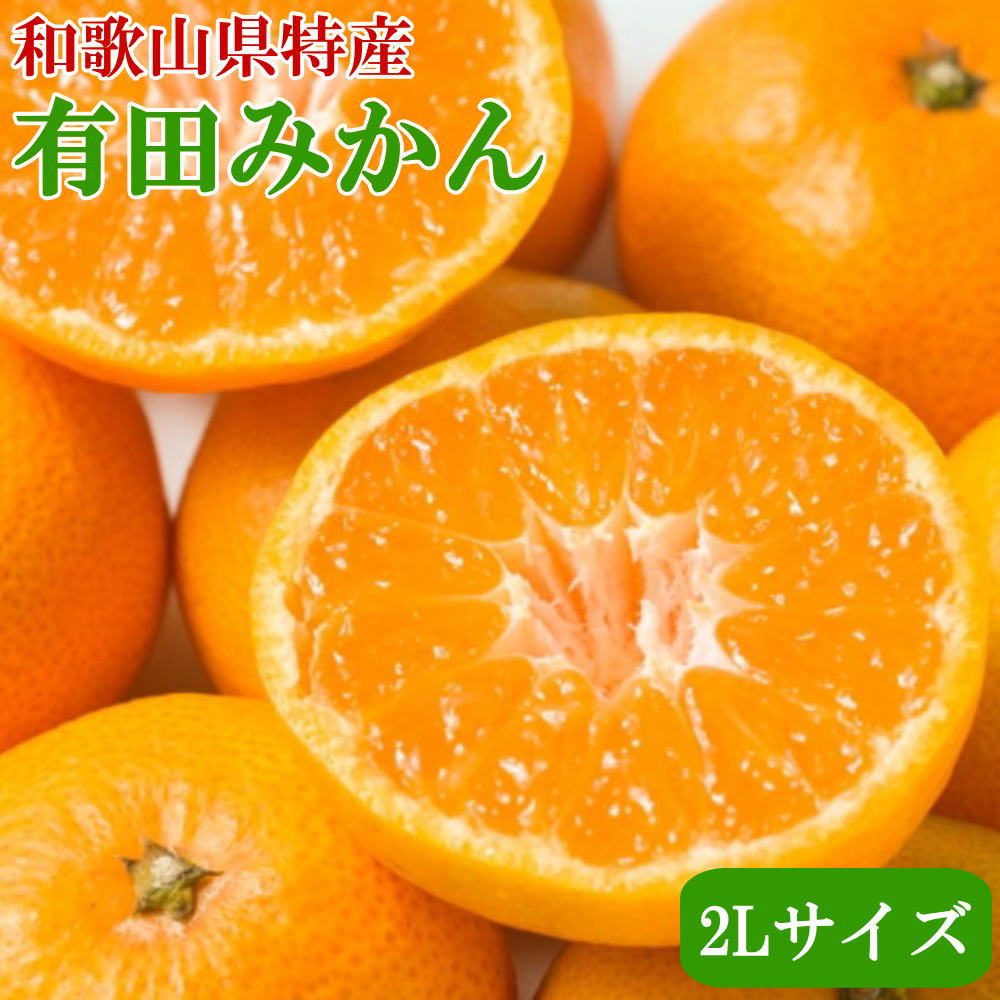 【ふるさと納税】 [秀品]和歌山有田みかん約6kg(2Lサイズ)【2025年11月中旬〜2026年1月下旬頃順次発送】【TM84】