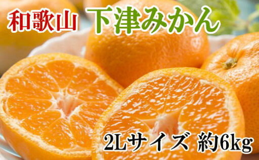 【ふるさと納税】【産直・秀品】和歌山下津みかん約6kg(2Lサイズ)★2025年11月中旬頃~2026年1月中旬に順次発送【TM75】 【ふるさと納税】【産直・秀品】和歌山下津みかん約6kg(2Lサイズ)★2025年11月中旬頃~2026年1月中旬に順次発送【TM75】
