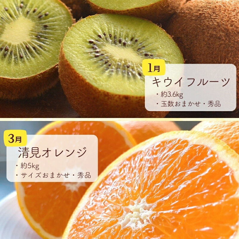 【ふるさと納税】和歌山の旬の果実を 奇数月にお届け全6回定期便【TM49】