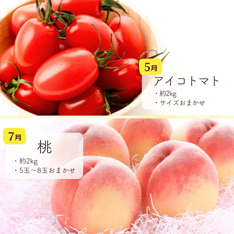 【ふるさと納税】和歌山の旬の果実を 奇数月にお届け全6回定期便【TM49】