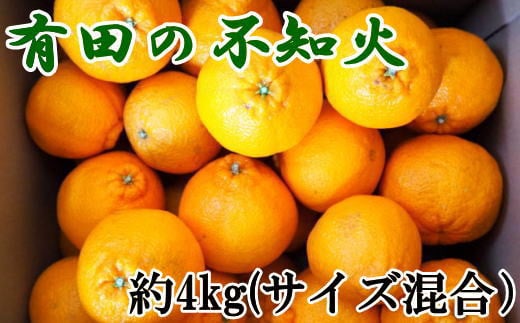 【濃厚】有田産不知火約4kg（2L〜5Lサイズ混合）【2025年2月より順次発送】【TM37】