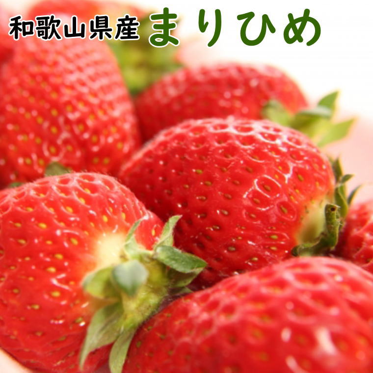 【ふるさと納税】和歌山県産ブランドいちご「まりひめ」約300g×2パック入り【2025年5月より順次発送】【TM101】