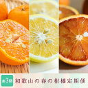 【ふるさと納税】 定期便全3回 【2月・3月・4月発送】 和歌山の春の柑橘 (ポンカン・はるか・ブラッドオレンジ)秀品【TM173】 | フルーツ 果物 くだもの 食品 人気 おすすめ 送料無料
