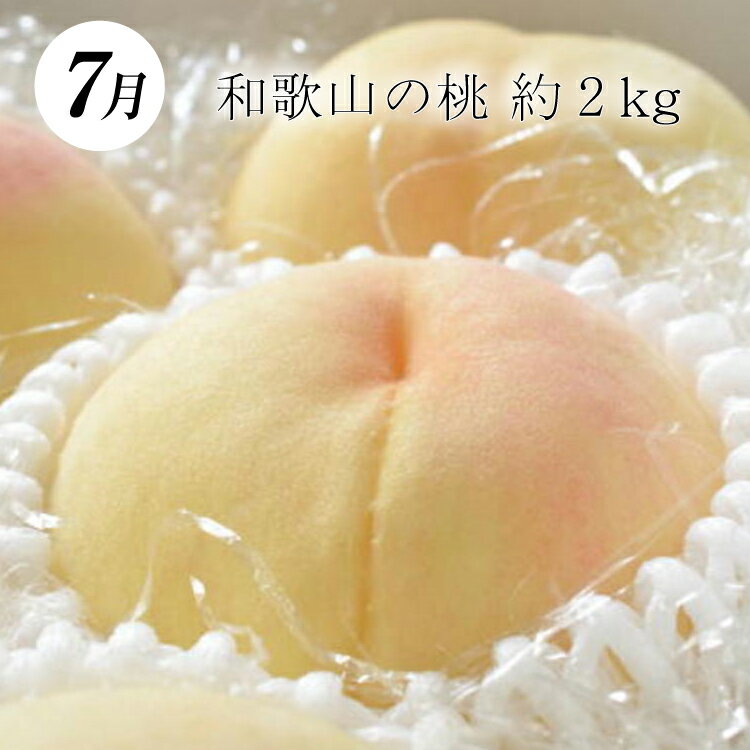 【ふるさと納税】 定期便全3回 【7月・8月・9月発送】 和歌山の夏のフルーツをお届け（桃・梨・たねなしピオーネ）【TM179】 | フルーツ 果物 くだもの 食品 人気 おすすめ 送料無料 定期便 産地直送