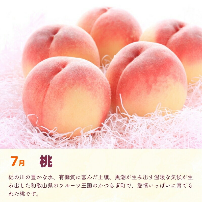 【ふるさと納税】 【定期便全3回】産直・和歌山フルーツ定期便（桃・ピオーネ・有田みかん） | フルーツ 果物 くだもの 食品 人気 おすすめ 送料無料 定期便 産地直送