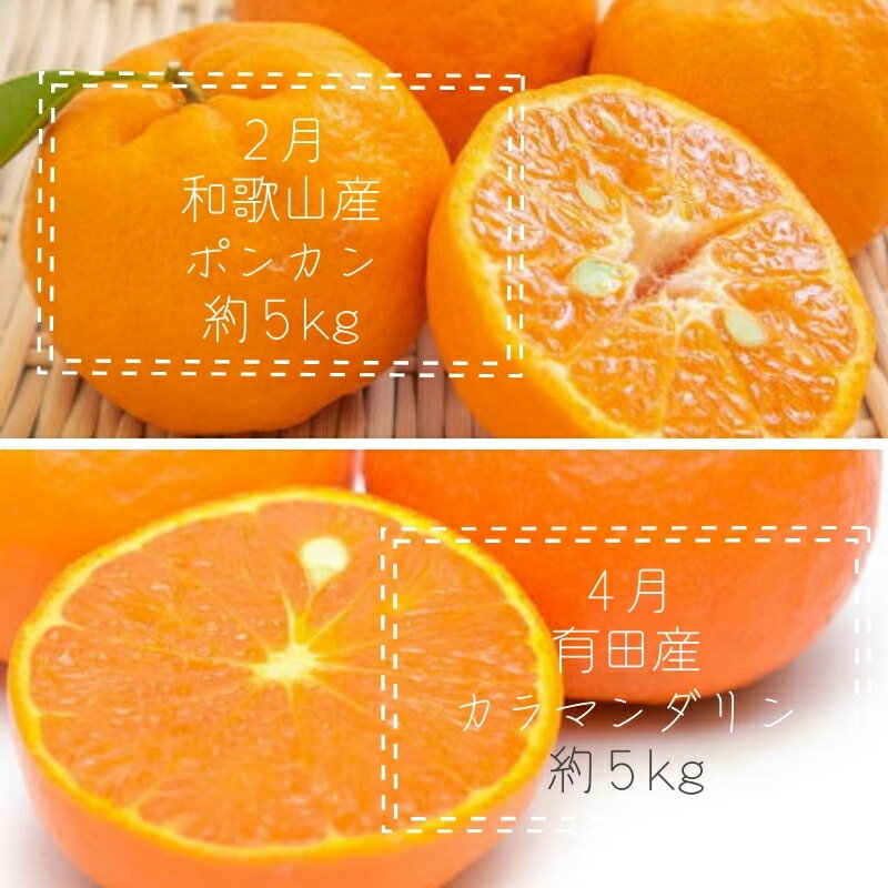 【ふるさと納税】全6回定期便 偶数月のお届け★和歌山産フルーツ定期便（ポンカン・カラマンダリン・すいか・梨・たねなし柿・有田みかん） | フルーツ 果物 くだもの 食品 人気 おすすめ 送料無料 定期便 産地直送