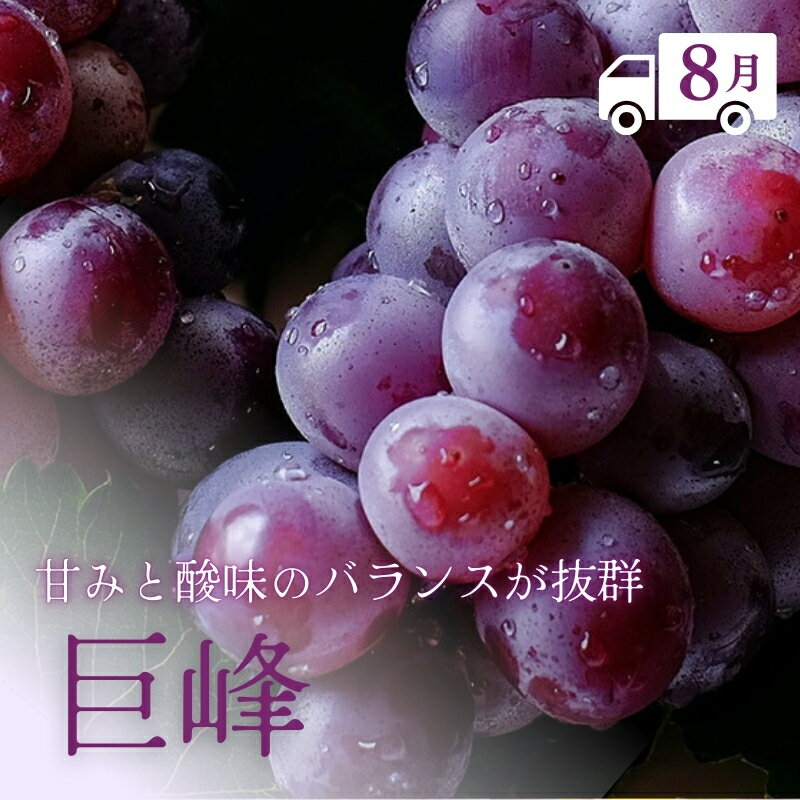 【ふるさと納税】【7・8・9月 全3回 定期便 】紀州和歌山産旬のフルーツセット（桃・種なし巨峰・シャインマスカット）【UT124】 | フルーツ 果物 くだもの 食品 人気 おすすめ 産地直送 送料無料