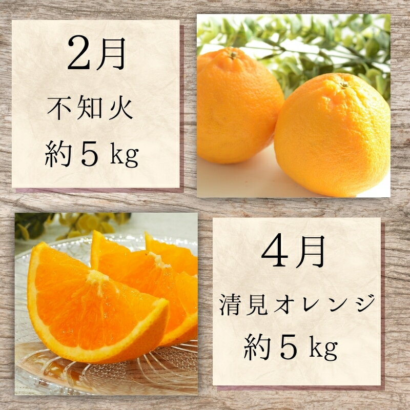 【ふるさと納税】 【2・4・6・8・10・12月 偶数固定月発送 全6回】和歌山産 旬のフルーツ お楽しみ 定期便 【魚鶴】【UT113w】