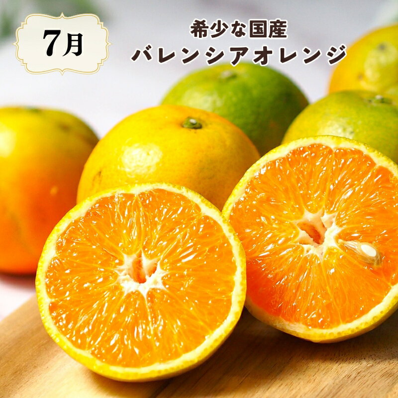 【ふるさと納税】 【7・8・10月 全3回】紀州和歌山産旬のフルーツセット（バレンシアオレンジ・桃・ひらたねなし柿）【UT79】 | フルーツ 果物 くだもの 食品 人気 おすすめ 送料無料