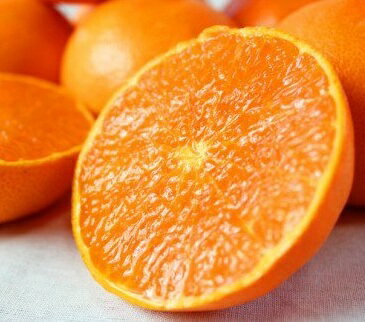 【ふるさと納税】 紀州和歌山産 せとか 約3kg 【2026年2月下旬頃〜2026年3月下旬頃発送予定】【先行予約】 | フルーツ 果物 くだもの 食品 人気 おすすめ 送料無料 産地直送 【ふるさと納税】 紀州和歌山産 せとか 約3kg 【2026年2月下旬頃〜2026年3月下旬頃発送予定】【先行予約】 | フルーツ 果物 くだもの 食品 人気 おすすめ 送料無料 産地直送
