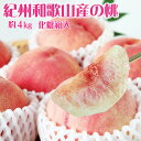 【ふるさと納税】 秀品 紀州和歌山産の桃 約4kg化粧箱入【2025年6月下旬から8月上旬頃順次発送】【UT106】