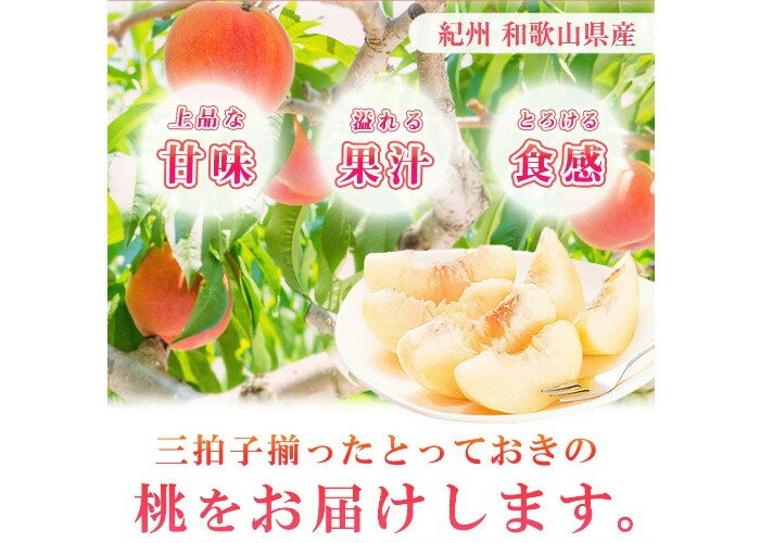 ミニ・アプリコット　ホール（種入り・皮付き）　1L